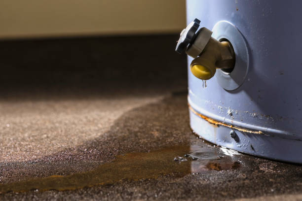 Local water damage restoration in TX