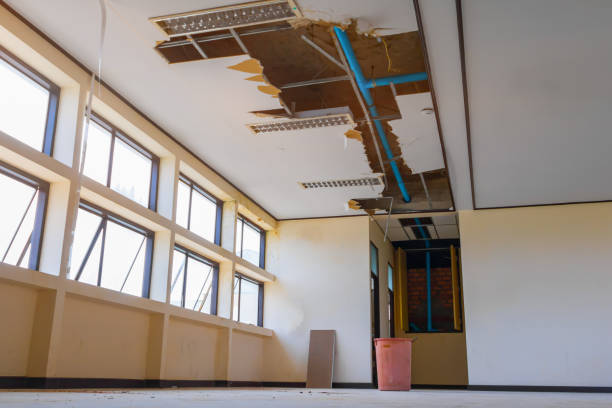 Best Basement water damage restoration  in Bartlett, TX