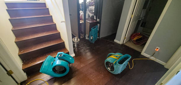 Best Residential water damage restoration  in Bartlett, TX