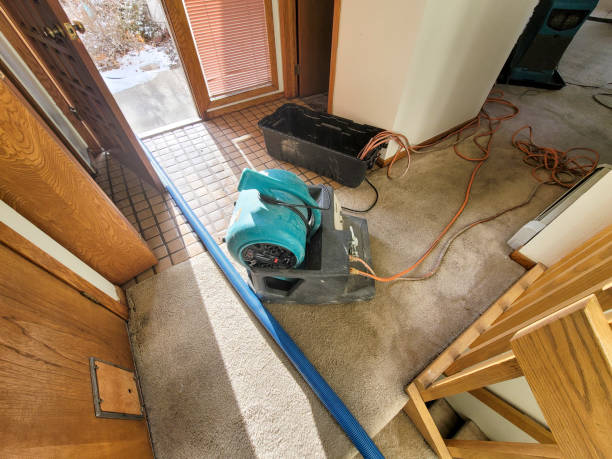  Bartlett, TX Water damage restoration Pros