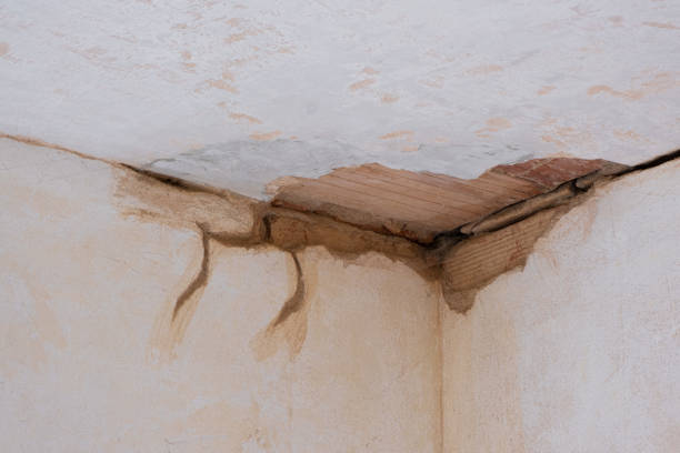 Best 24/7 water damage repair  in Bartlett, TX