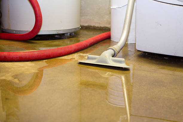 Best 24-hour water damage restoration  in Bartlett, TX